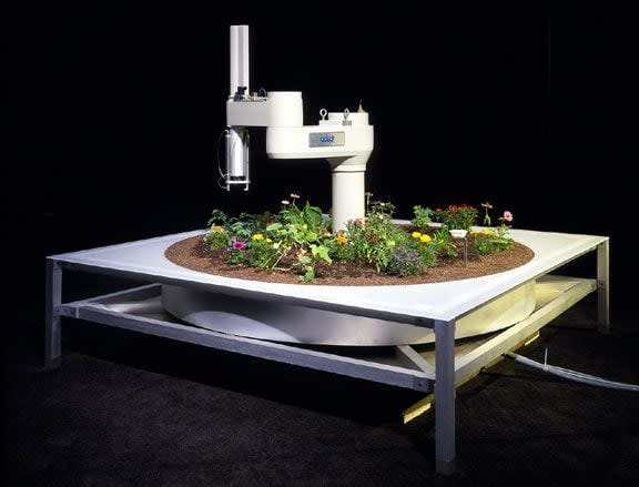 Ken Goldberg, The Telegarden Ken Goldberg, Joseph Santarromanna, 1995-2004