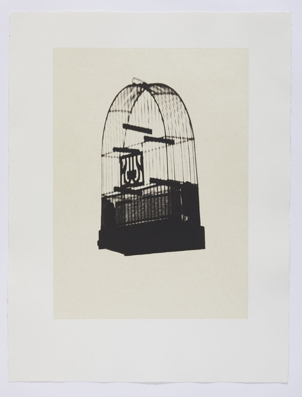 Lenka Clayton, Cage Shadows III, 2022