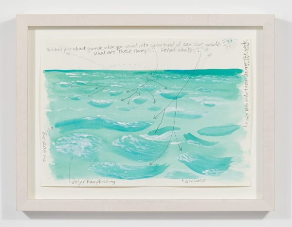 Nina Katchadourian, Savaging the Sea #10, 2020