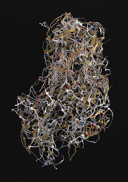 Nina Katchadourian, Austria, 2005