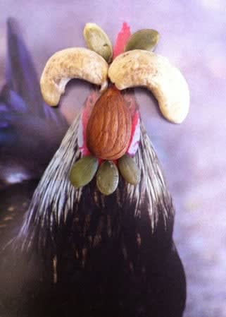 Nina Katchadourian, Nut-headed Rooster from the Birds of New Zealand series, 2011