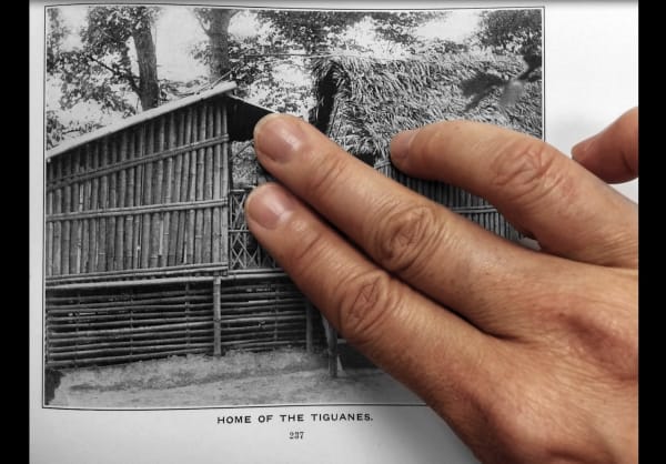 Stephanie Syjuco, Block Out the Sun, 2021