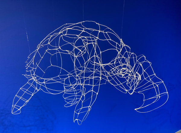 Nina Katchadourian, Sea Turtle, 2020