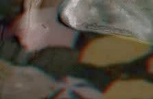 TT Takemoto - HK Uprising, 2021