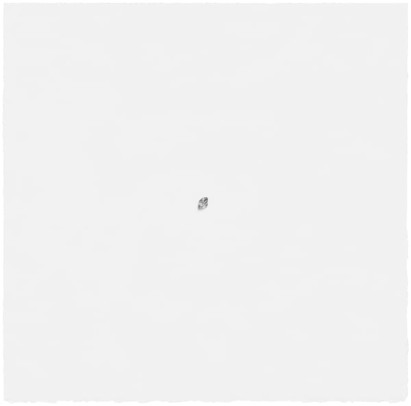 Katherine Vetne, Patrimony (Study IV), 2014