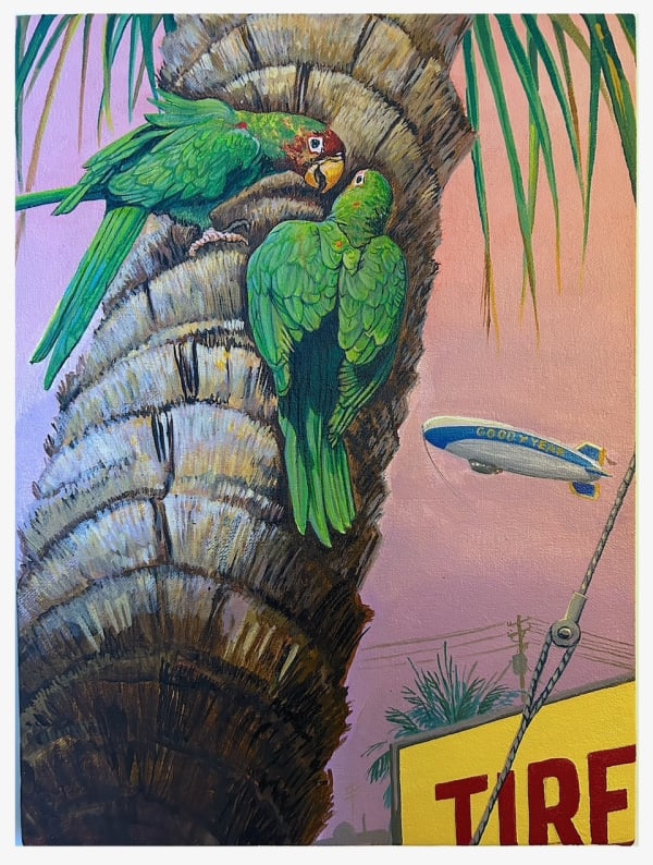 Sandow Birk, Mitred Parrakeet, 2025