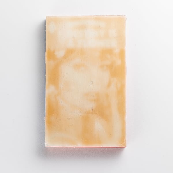 Brian Singer, Destiny is a Flower, 2023