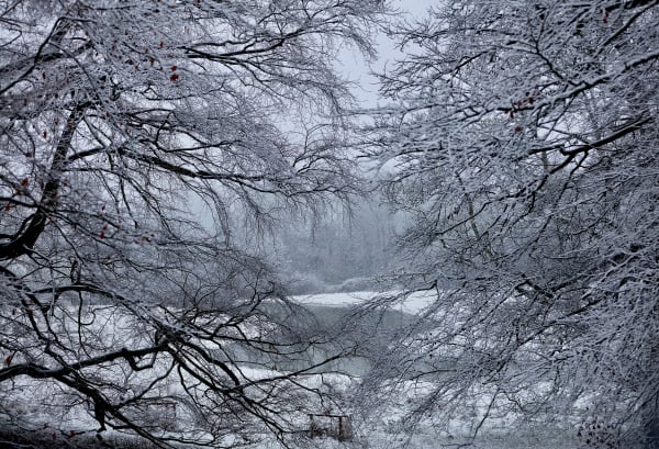 Catherine Wingfield, Portal