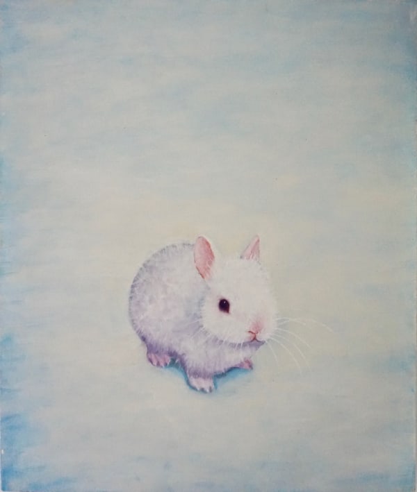 Switched on bunnies
