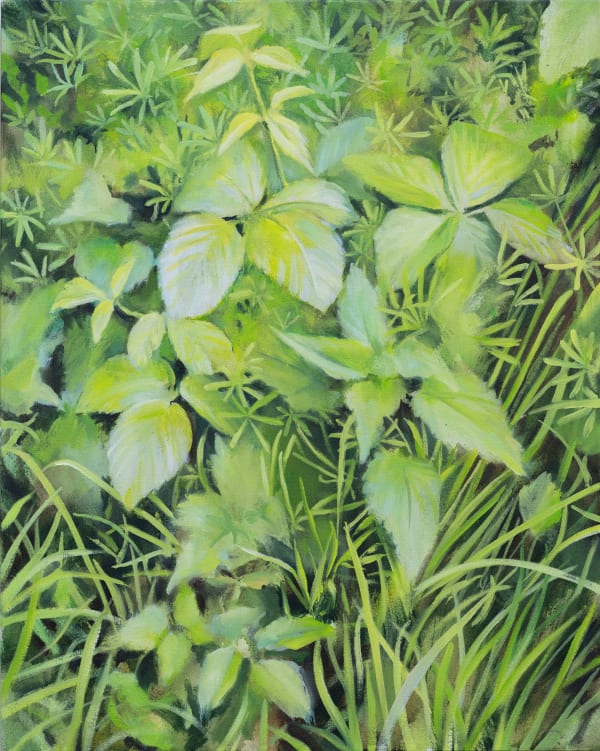 David Edmond, Thicket 1