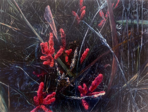 Dark Marsh