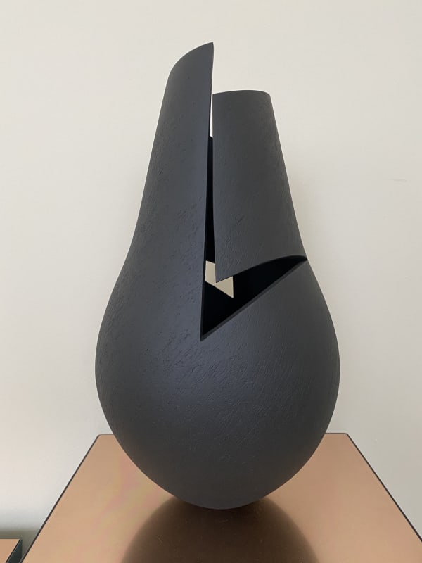 Ashraf Hanna, Black Cut and Altered Vessel , 2022