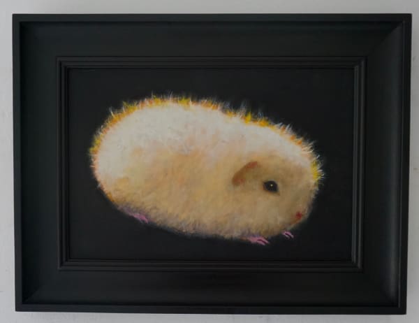 Tony Beaver, Guinea Pig 2, 2024