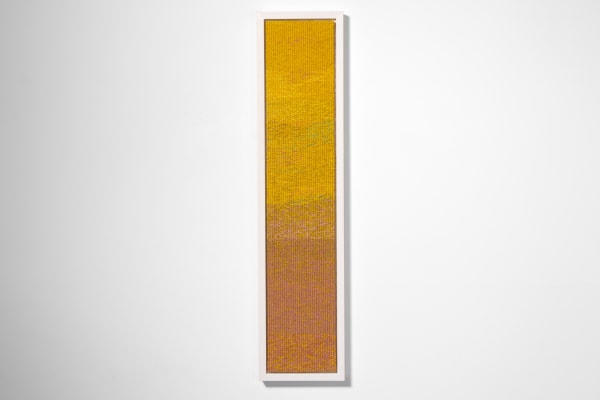 Colourfield