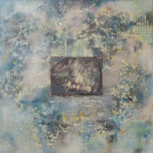 The Butterfly’s Dream 蝶非蝶