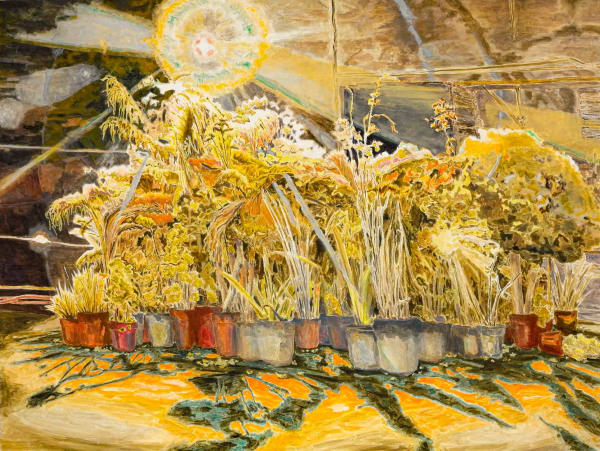 ran aground in a bristly light