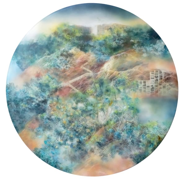 Fleeting glimpse of Unseen Beauty 匆忙中的瞥影