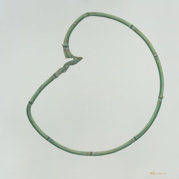 101 Degree Indentation 101 Degree Indentation 向內凹101度