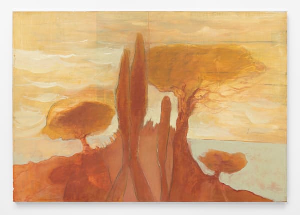 Katie van Scherpenberg, Vista sobre o amazonas [Overlooking the amazon], 2010 - 2017