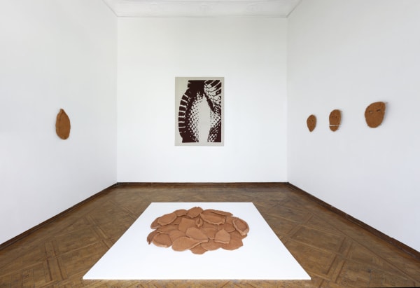 Lucía Pizzani , Installation View of 'Coraza'' at the Marso Foundation, Mexico , 2019
