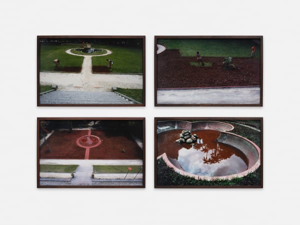 Katie van Scherpenberg, Jardim Vermelho [Red Garden], 1986/2023