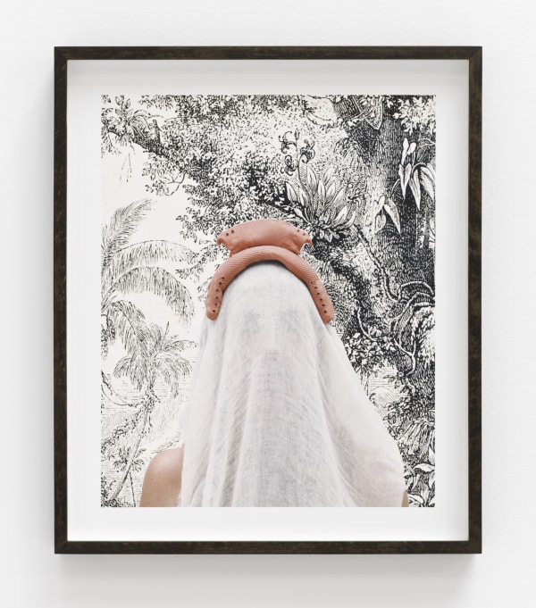 Lucía Pizzani, Selva, 2019