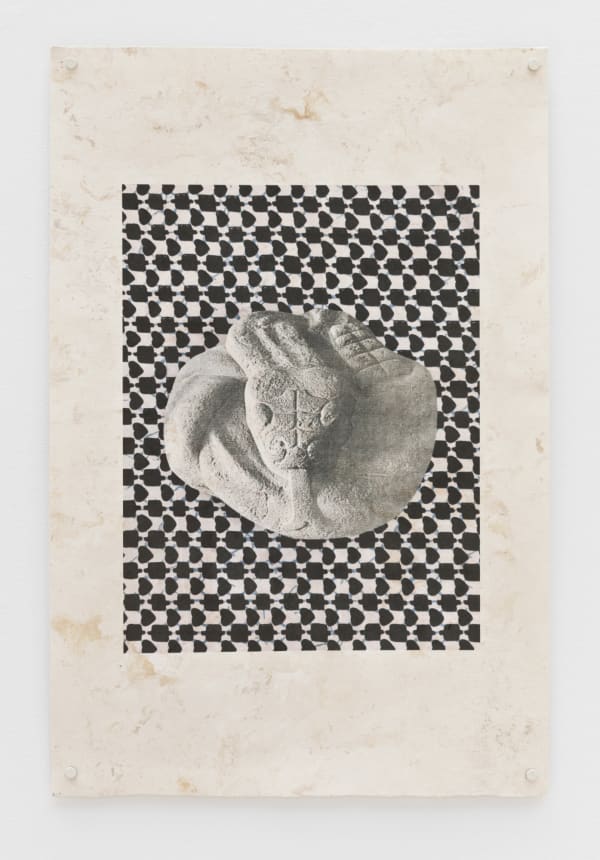 Lucía Pizzani, Āmatl 1, 2019