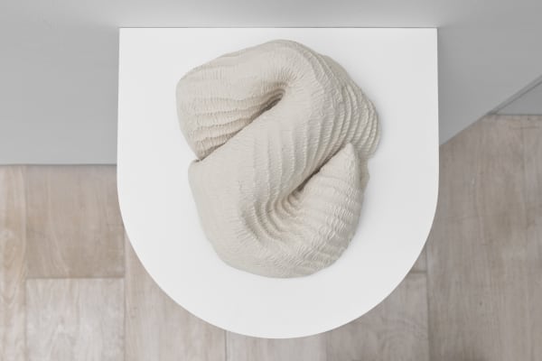 Lucía Pizzani, Culebra , 2019