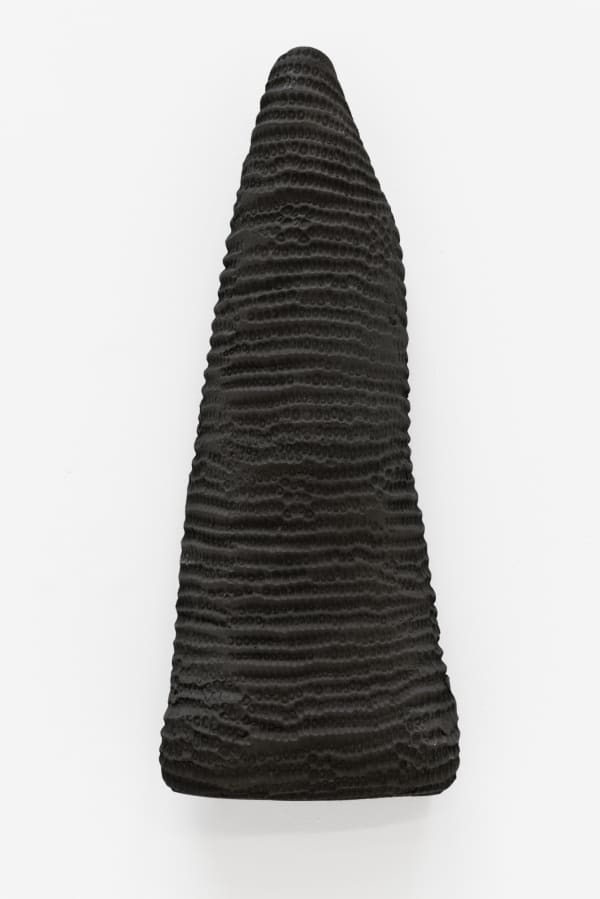 Lucía Pizzani , Totem , 2019