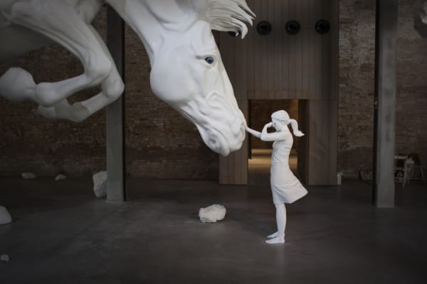 Claudia Fontes, The Horse Problem, Installation at the Argentinean Pavilion, Arsenale, 57a Venice Biennial, Italy, 2017