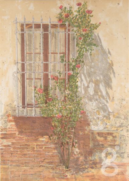 Piero Vignozzi, Le Finestra Rosa