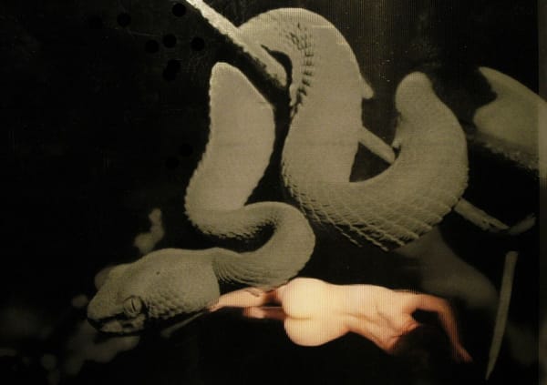 Martin Richardson, Eve, 2013