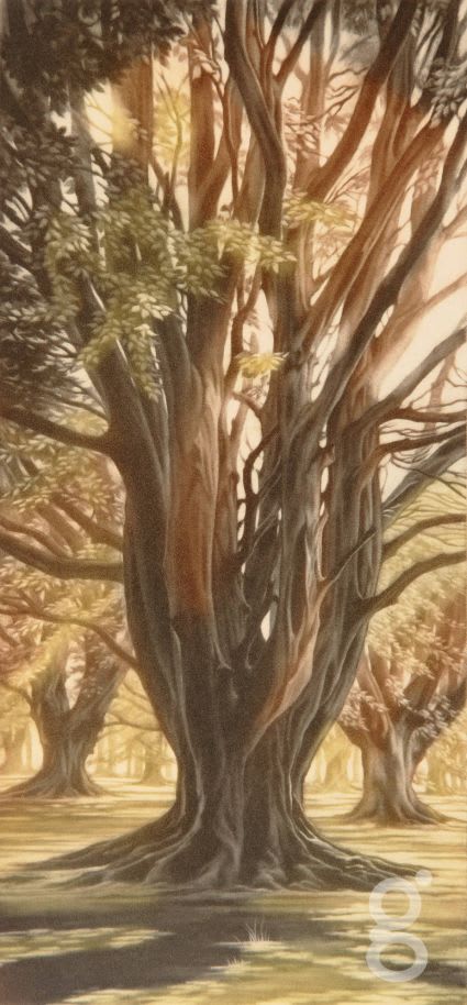 Susan Jameson, Morning Tree