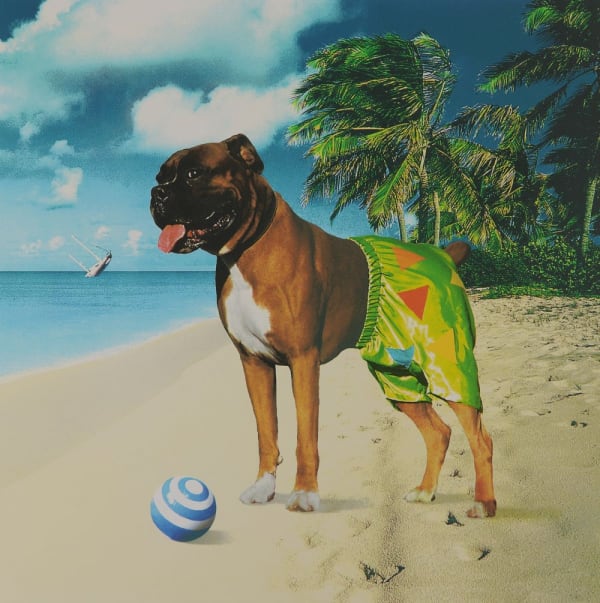 Storm Thorgerson, Mr Lovepants, 2004