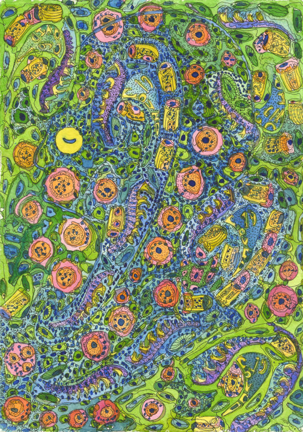 Juliet St John Nicolle, The Spread of Covid Cells