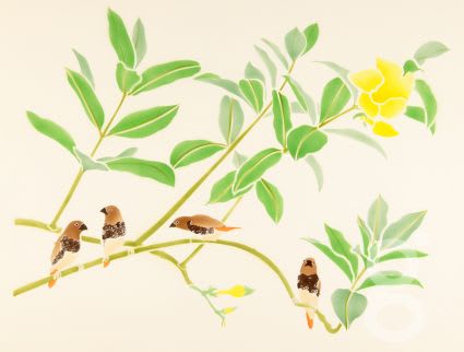 Danka Napiorkowska, Mandevilla and Spice Birds