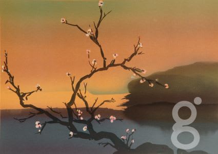 Thomas Kruger, Cherry Blossom