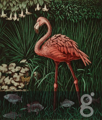 Mark Millmore, Flamingo
