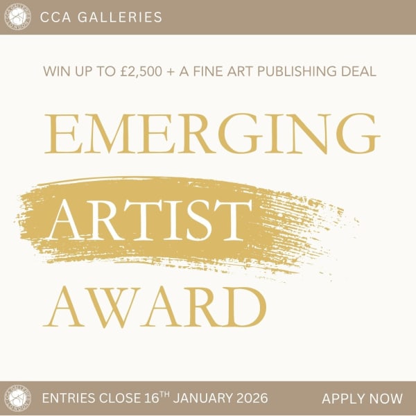 Emerging Artist Awards, Emerging Artist Awards Standard Fee