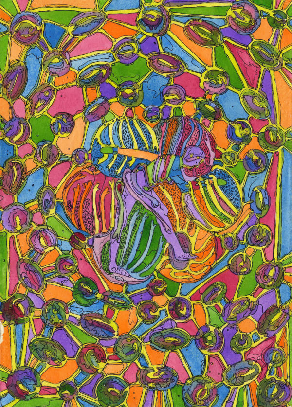 Juliet St John Nicolle, Trapped in the Floret of Covid, Despite Ploughing On