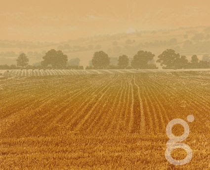 Kenneth leech, Morning Mist