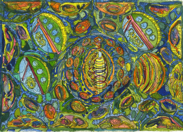 Juliet St John Nicolle, Times Outings Within Circles