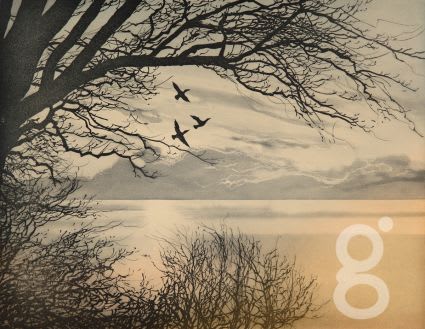 France Hilon, Ile Mysterieuse