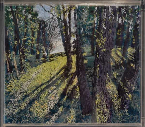 Sassafrass, Morning Under Afternoon