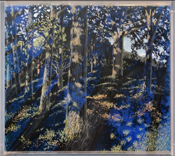 In The Oaks, Dusk Under Afternoon