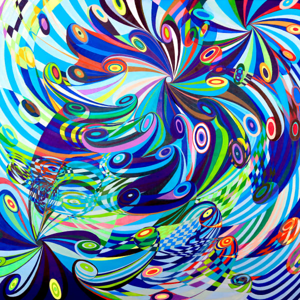 Elan Flow 6, 2019