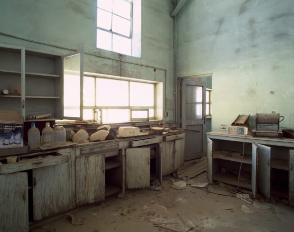 Wrecked Lab, Yerington NV, No 2