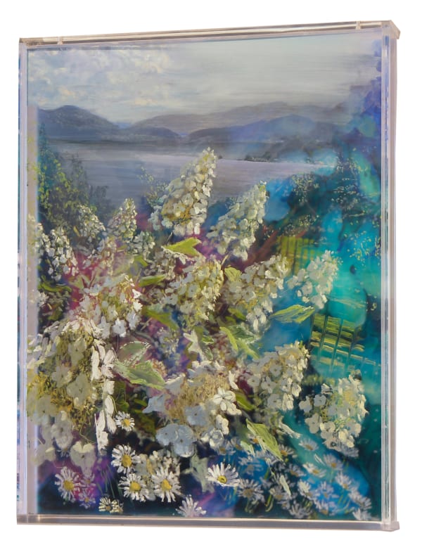 Hydrangea and River, 2 Years