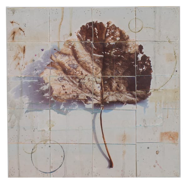 I Believe in Yesterday