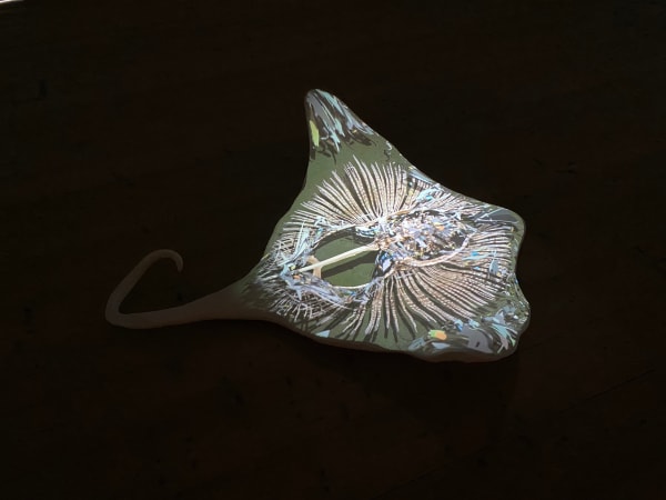 Johannes Heldén, Stingray , 2020